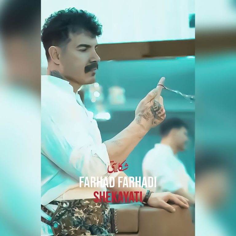 دانلود آهنگ شکایتی از فرهاد فرهادی